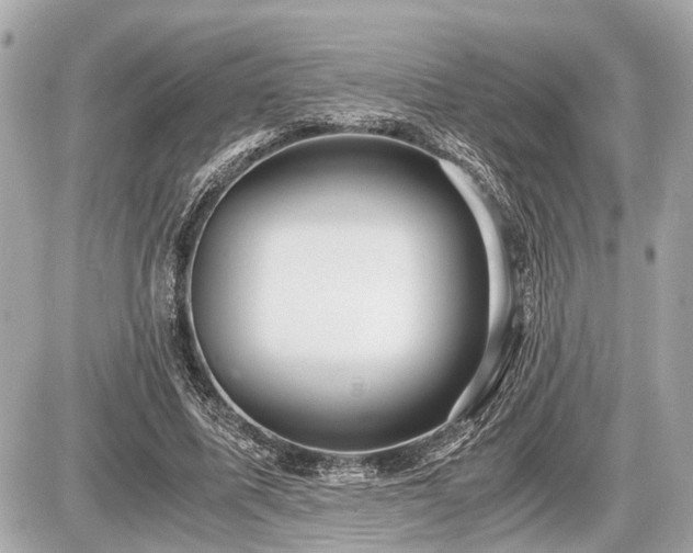 X0000087520587200705041215