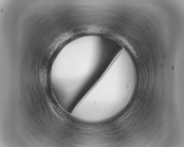 X0000087520588200705041215