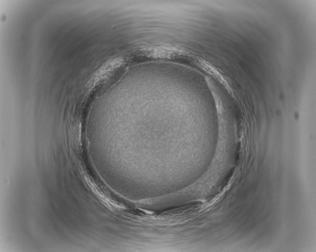 X0000087520589200705041215