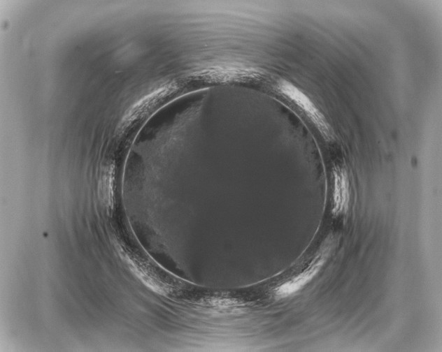 X0000087520590200705041214