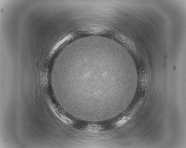 X0000087520591200705041214