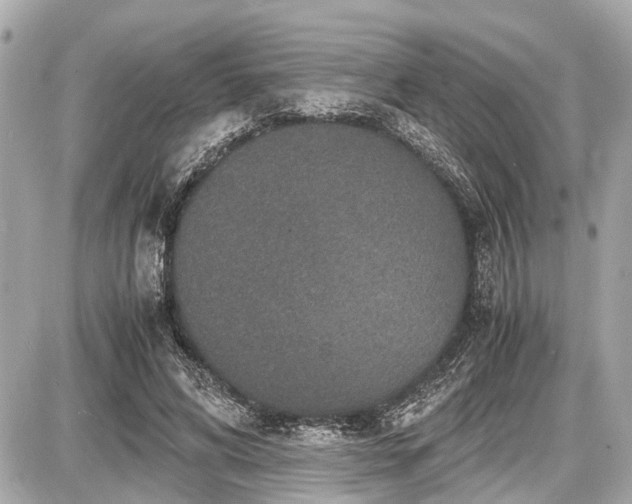 X0000087520592200705041214