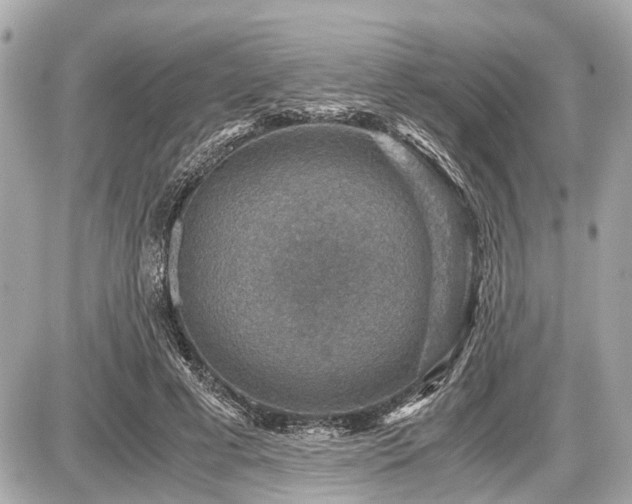 X0000087520593200705041214