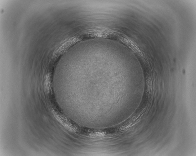 X0000087520594200705041214