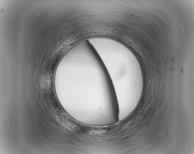 X0000087520595200705041214