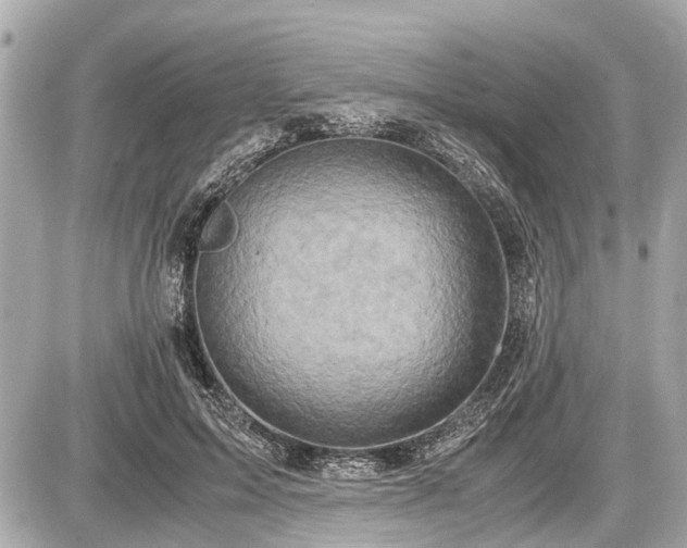 X0000087520599200705041214