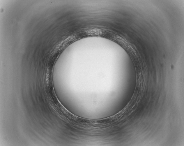 X0000087520600200705041214