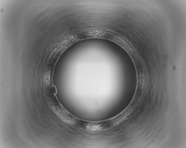 X0000087520602200705041214