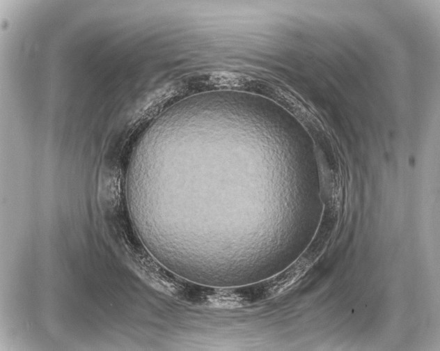 X0000087520603200705041214