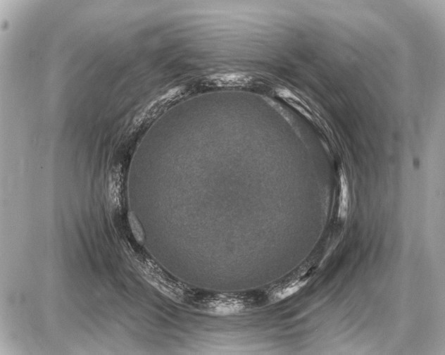 X0000087520604200705041214