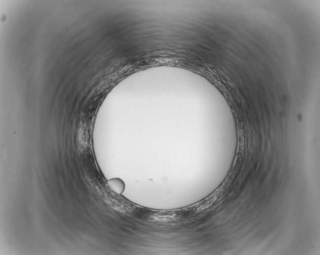 X0000087520606200705041214