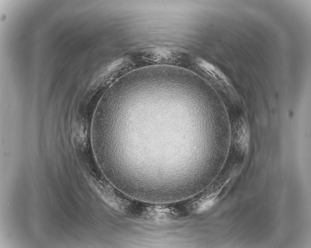 X0000087520607200705041214