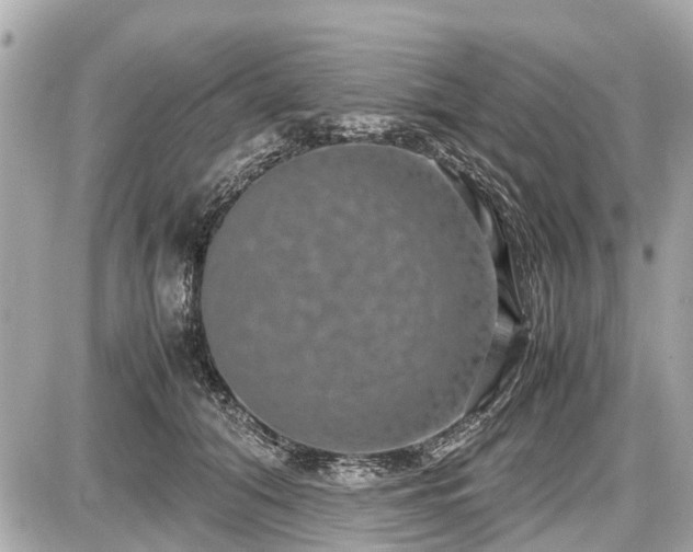 X0000087520608200705041214