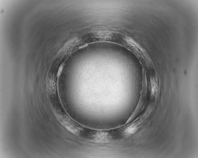 X0000087520609200705041214