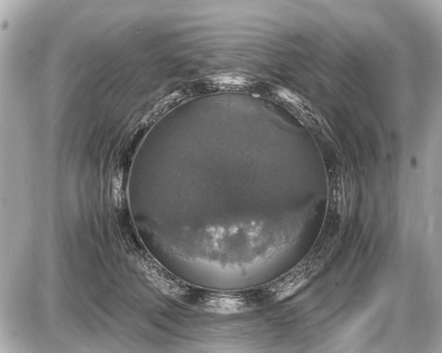 X0000087520610200705041214