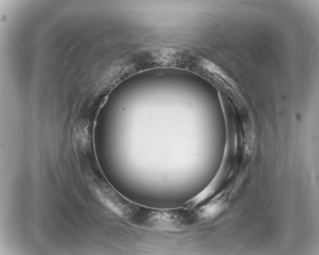 X0000087520611200705041214