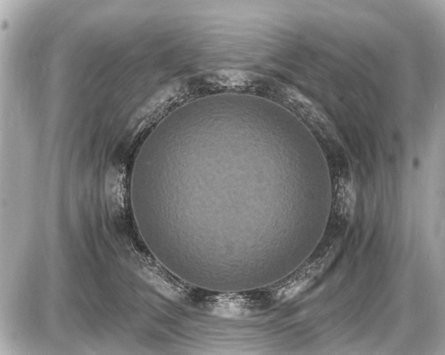 X0000087520612200705041214