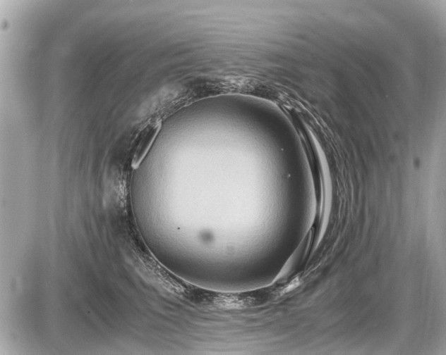 X0000087520613200705041214