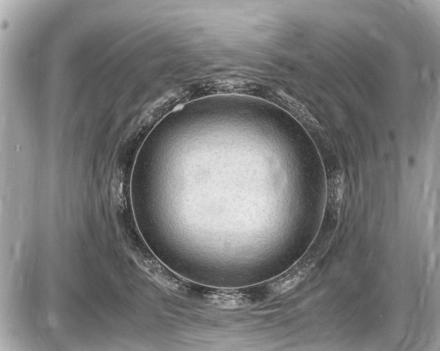 X0000087520615200705041214