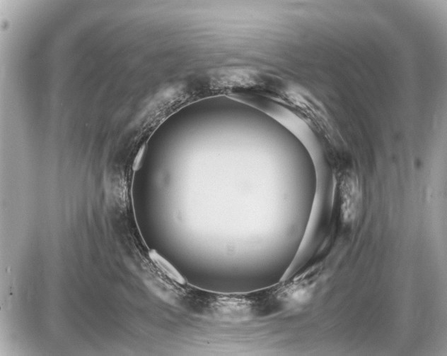 X0000087520617200705041214