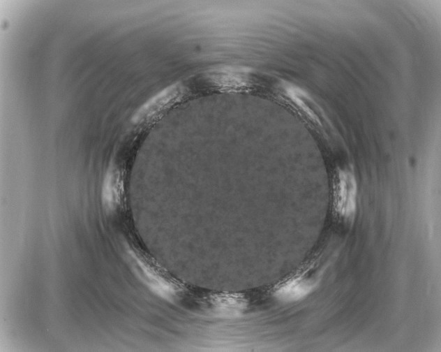 X0000087520618200705041214