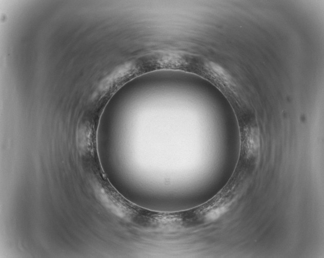 X0000087520619200705041214