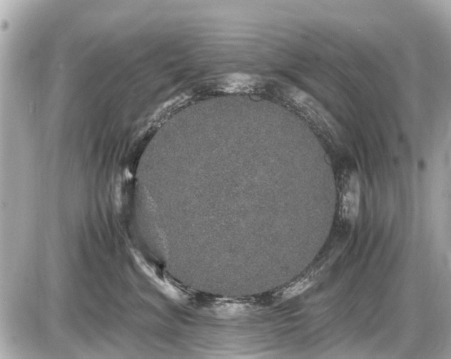 X0000087520620200705041214