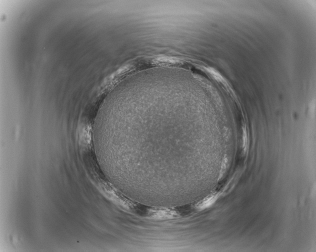 X0000087520621200705041214