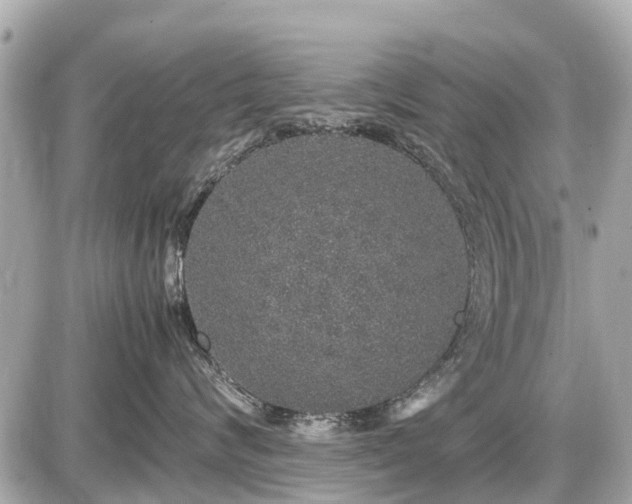 X0000087520624200705041214