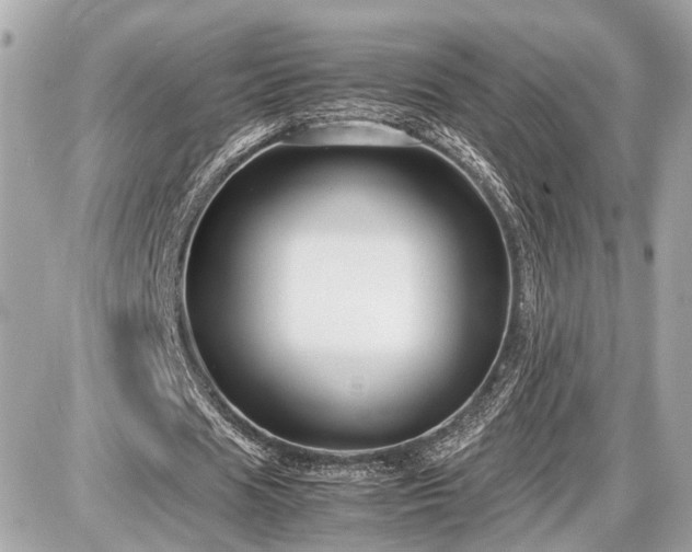 X0000087520625200705041213