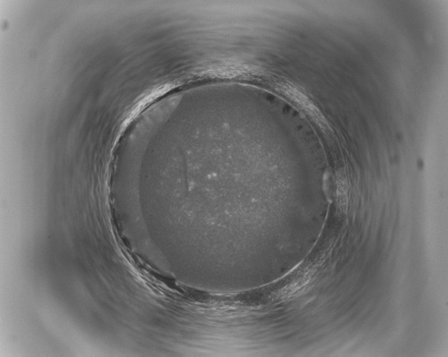 X0000087520626200705041213