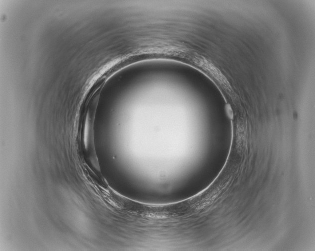 X0000087520628200705041213