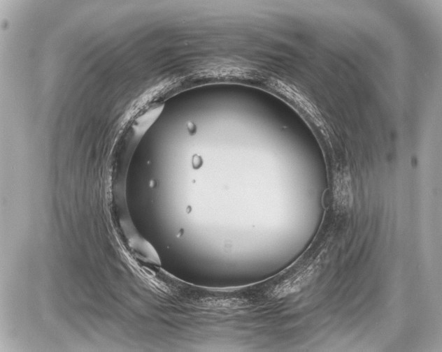 X0000087520629200705041213