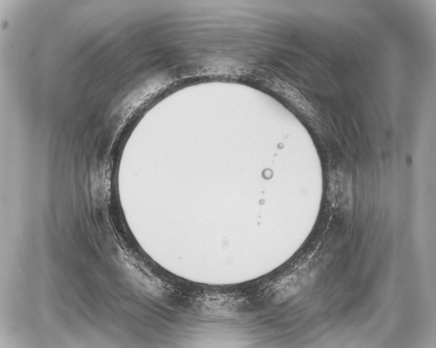 X0000087520632200705041213