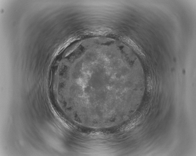 X0000087520634200705041213