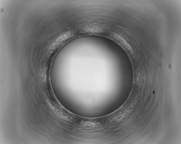 X0000087520635200705041213