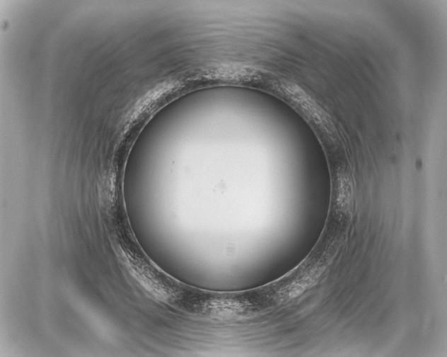 X0000087520636200705041213