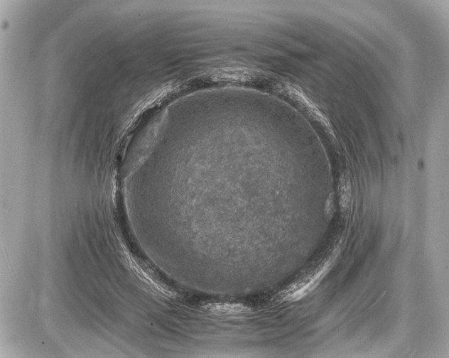 X0000087520637200705041213