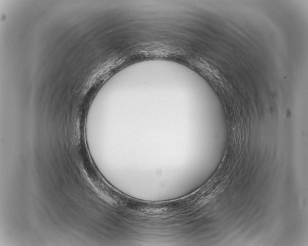 X0000087520638200705041213