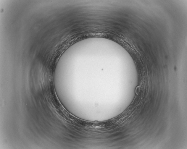 X0000087520647200705041214