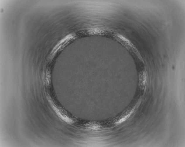 X0000087520648200705041214