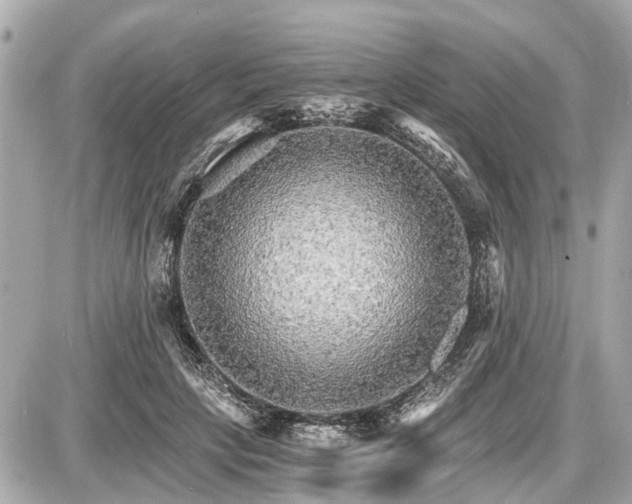 X0000087520649200705041214