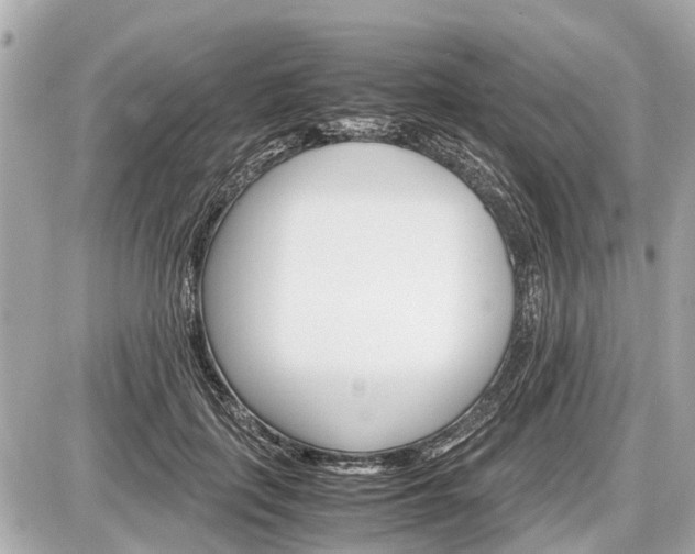 X0000087520651200705041214