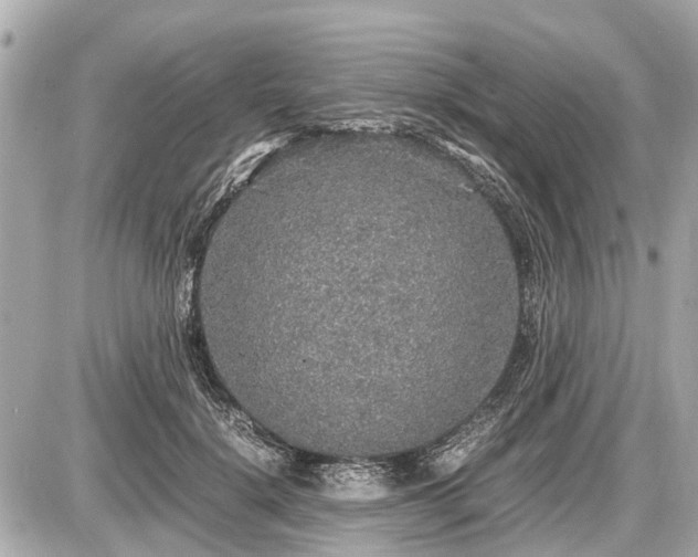 X0000087520652200705041214