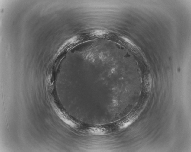 X0000087520654200705041214