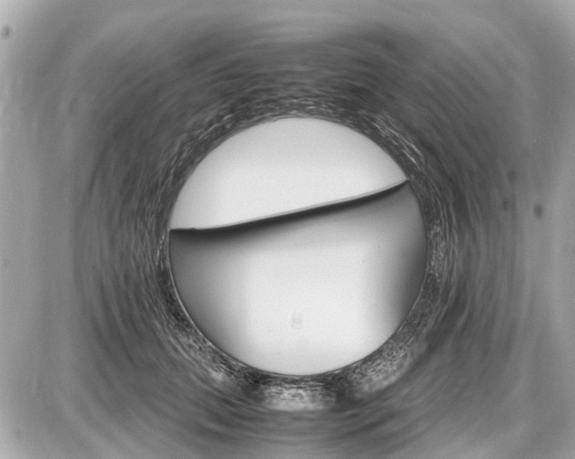 X0000087520655200705041214