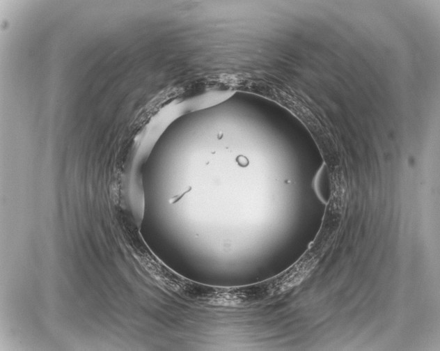 X0000087520656200705041214