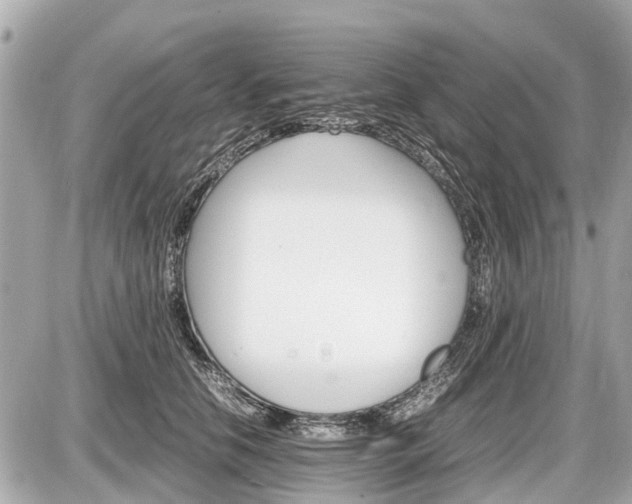 X0000087520658200705041214