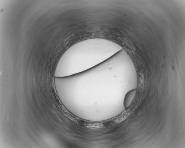 X0000087520659200705041214