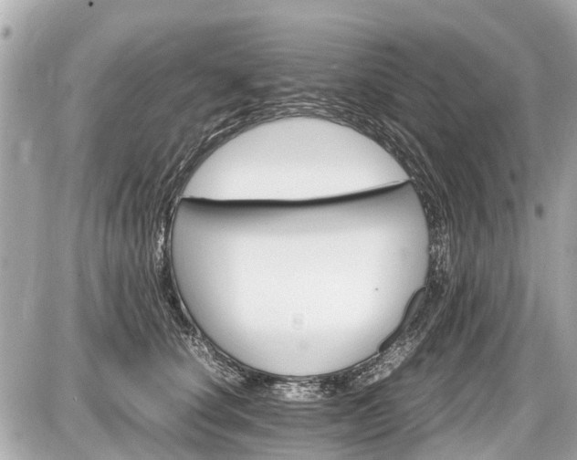 X0000087520660200705041214